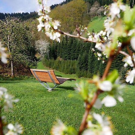 Buehlbauernhof Villa Bad Peterstal-Griesbach Dış mekan fotoğraf
