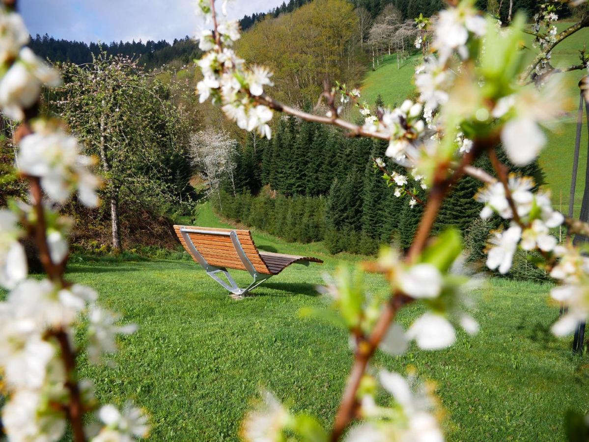 Buehlbauernhof Villa Bad Peterstal-Griesbach Dış mekan fotoğraf