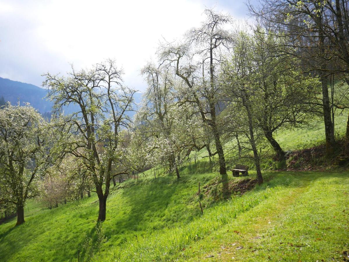 Buehlbauernhof Villa Bad Peterstal-Griesbach Dış mekan fotoğraf