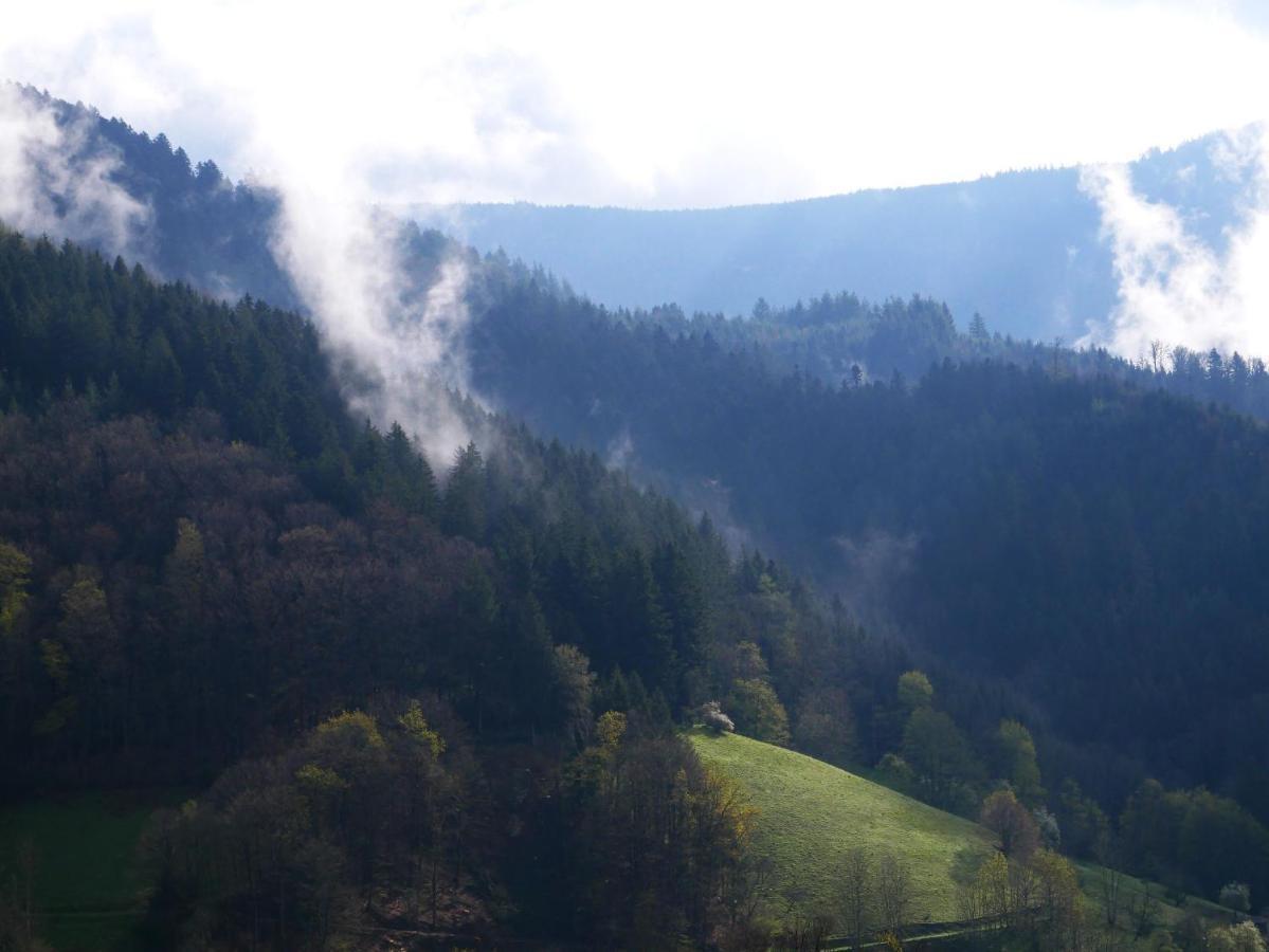 Buehlbauernhof Villa Bad Peterstal-Griesbach Dış mekan fotoğraf