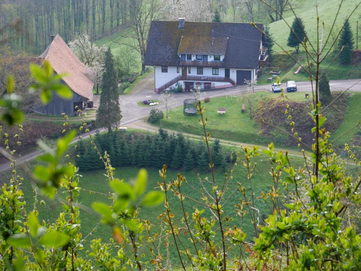 Buehlbauernhof Villa Bad Peterstal-Griesbach Dış mekan fotoğraf